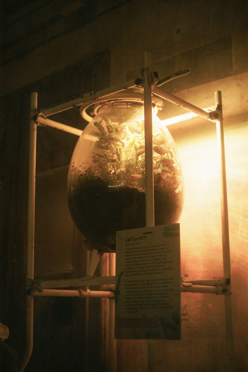 Fotó: Fülöp Andris