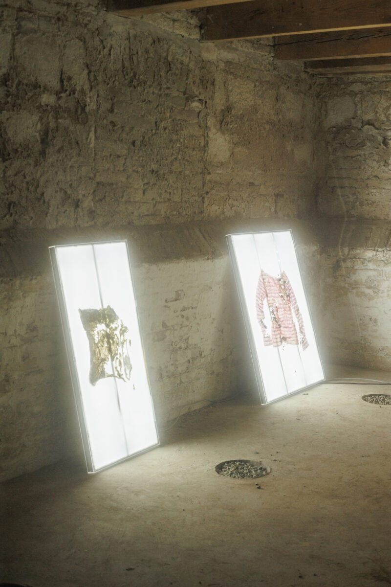 Fotó: Fülöp Andris